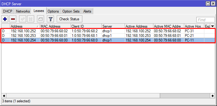 DHCP Leases