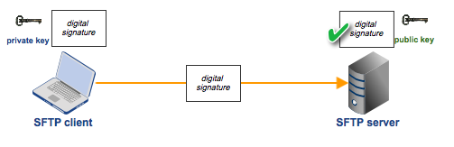 Basic Process of SSH Private & Public Key