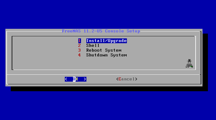 Step 3 - Install/Upgrade