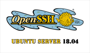 Open SSH - Ubuntu Server 18.04