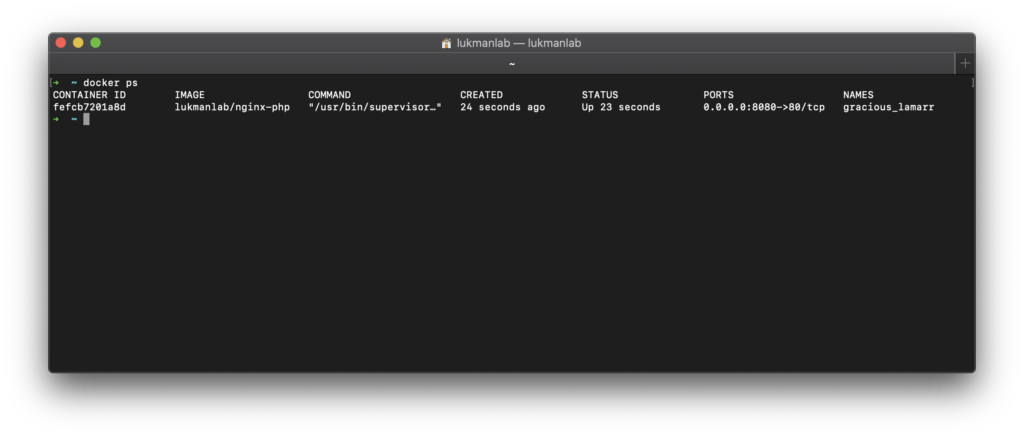 image docker nginx running